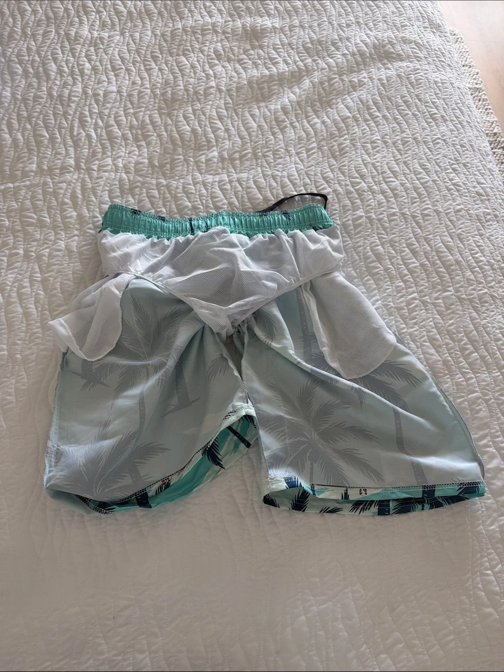 Men's Turquoise Palm Print Swim Shorts